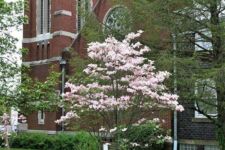 Photo of Zion UCC (North Canton) Photo of Zion UCC (North Canton)